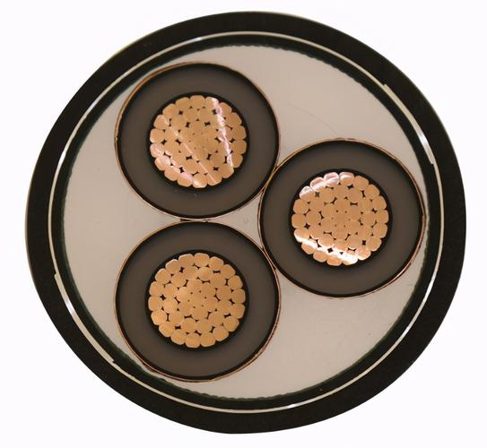 16902532828115.png 環保電纜.png